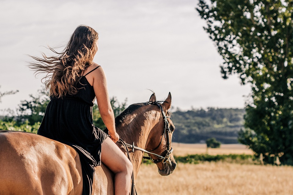 caballo